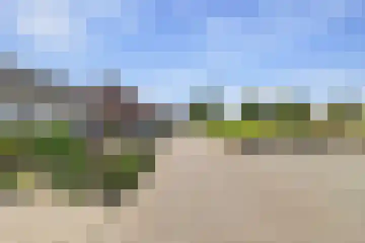 Reuzenhoek 40 Zaamslag thumbnail 49