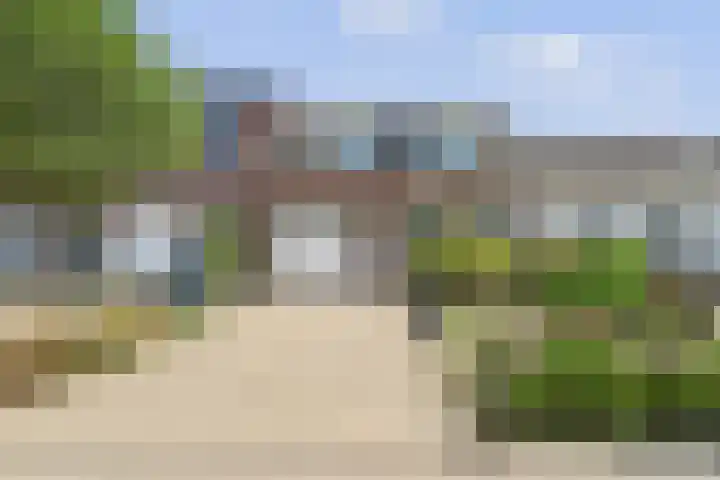 Reuzenhoek 40 Zaamslag thumbnail 50