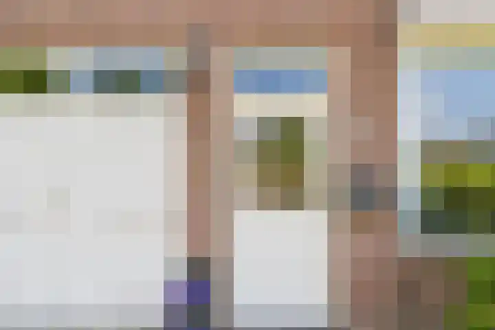 Reuzenhoek 40 Zaamslag thumbnail 51