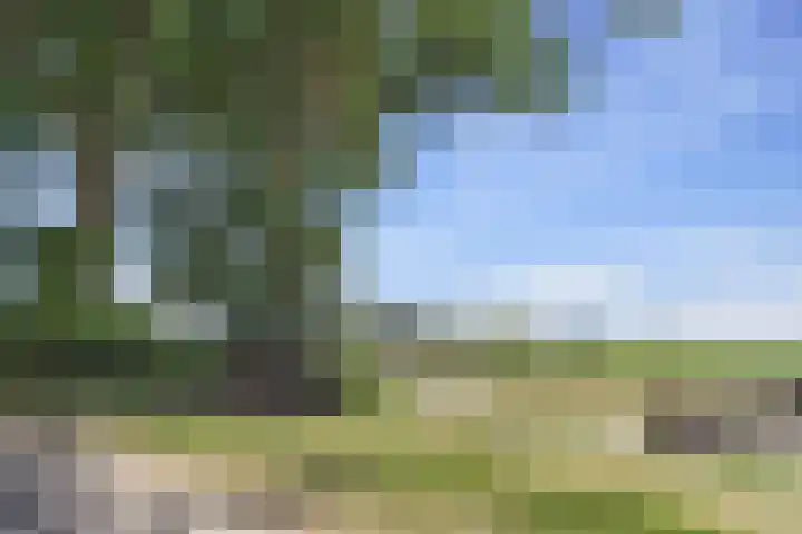 Reuzenhoek 40 Zaamslag thumbnail 52