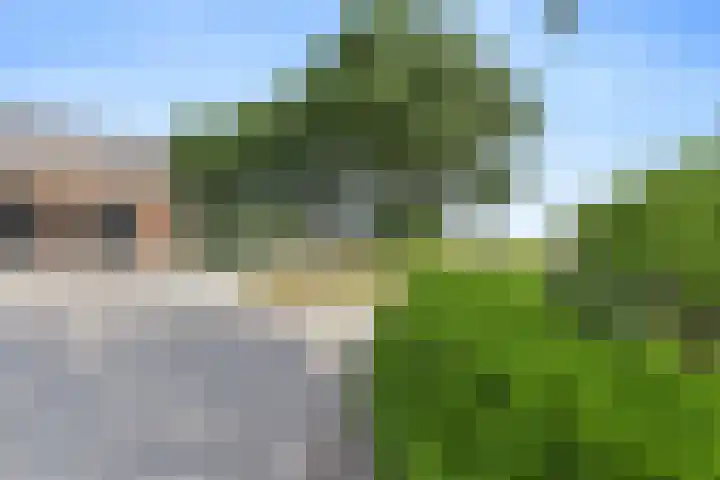 Reuzenhoek 40 Zaamslag thumbnail 53