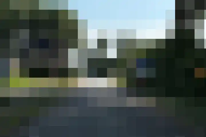 Reuzenhoek 40 Zaamslag thumbnail 54