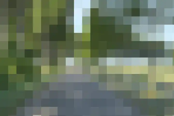 Reuzenhoek 40 Zaamslag thumbnail 55
