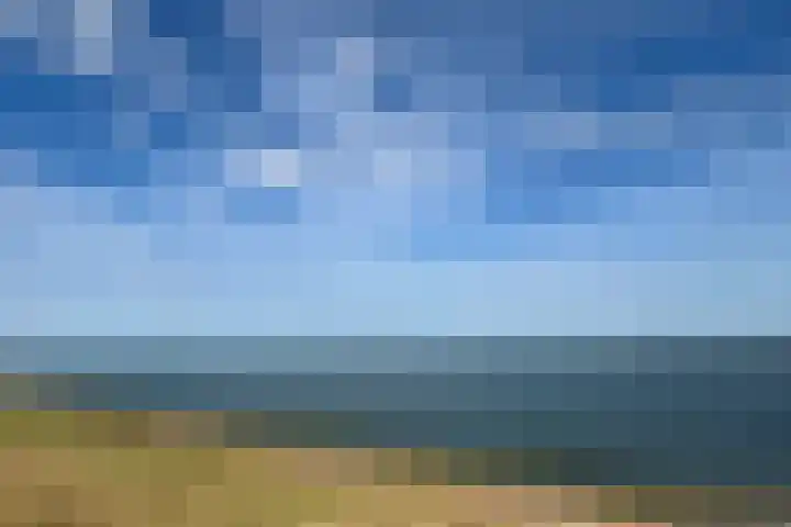 Reuzenhoek 40 Zaamslag thumbnail 56