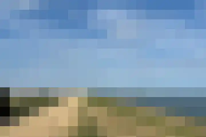 Reuzenhoek 40 Zaamslag thumbnail 57