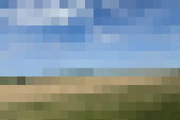 Reuzenhoek 40 Zaamslag thumbnail 58