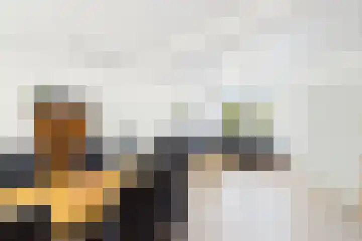 Reuzenhoek 40 Zaamslag thumbnail 6