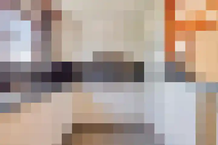 Reuzenhoek 59 Zaamslag thumbnail 11