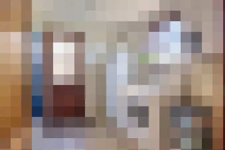 Reuzenhoek 59 Zaamslag thumbnail 13