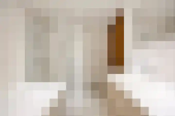 Reuzenhoek 59 Zaamslag thumbnail 17