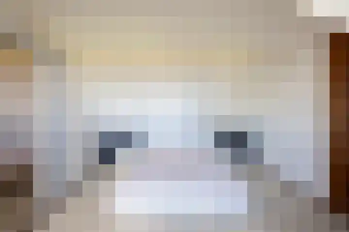 Reuzenhoek 59 Zaamslag thumbnail 23
