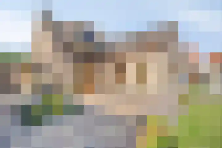 Reuzenhoek 59 Zaamslag thumbnail 25