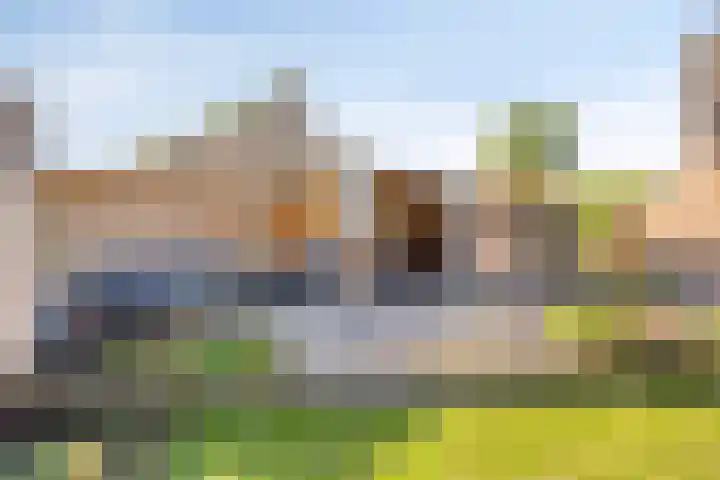 Reuzenhoek 59 Zaamslag thumbnail 28