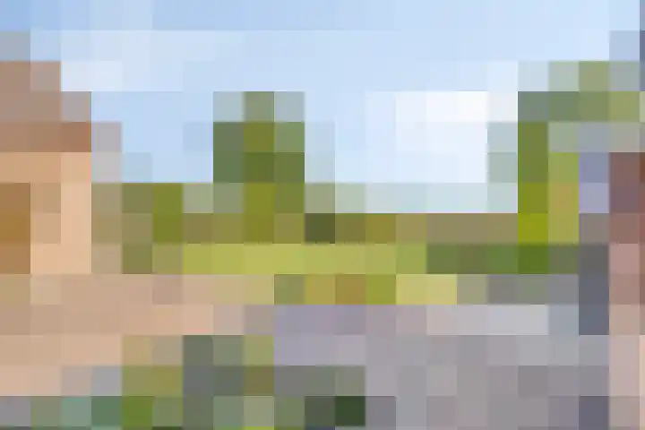Reuzenhoek 59 Zaamslag thumbnail 4