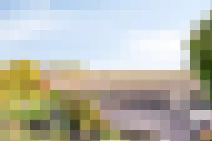 Reuzenhoek 59 Zaamslag thumbnail 6