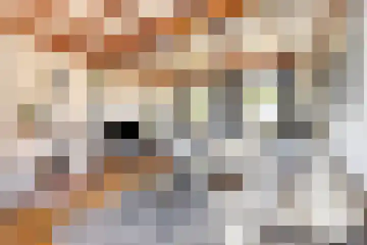 Reuzenhoek 59 Zaamslag thumbnail 7