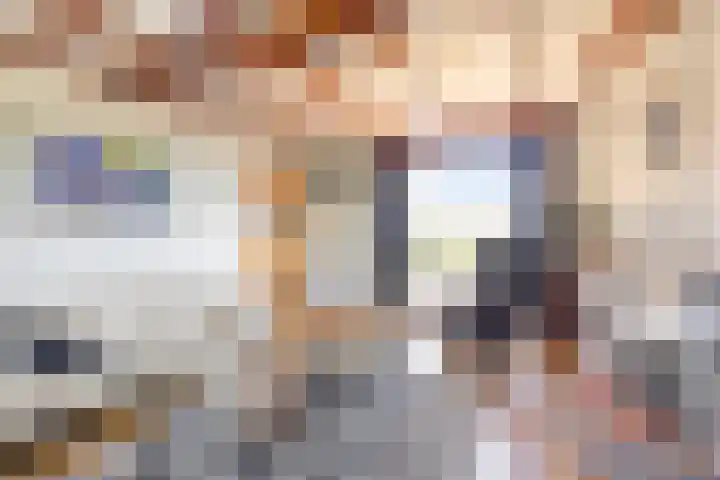 Reuzenhoek 59 Zaamslag thumbnail 8