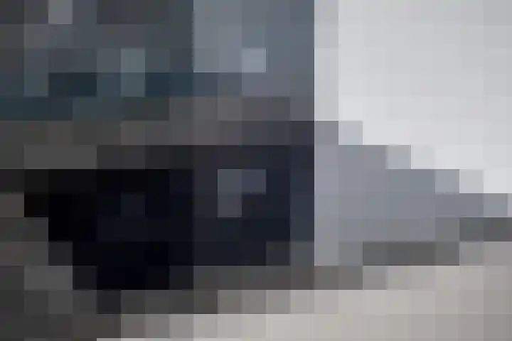 Reuzenotter 12 Boxtel thumbnail 10