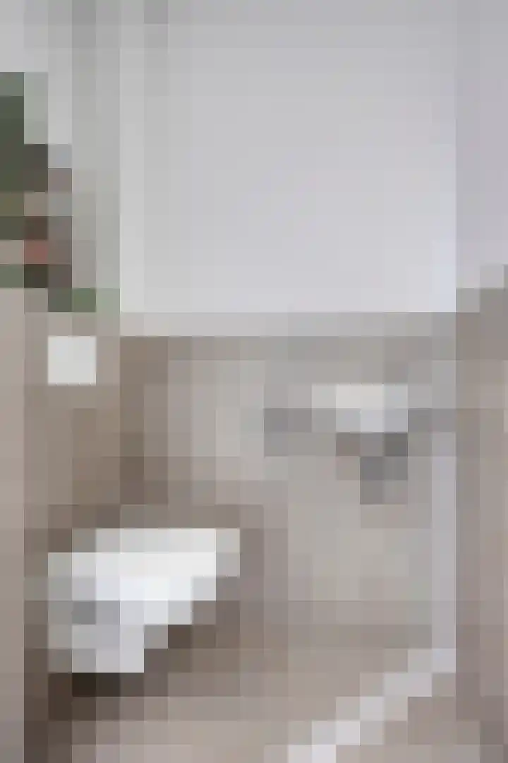 Reuzenotter 12 Boxtel thumbnail 4