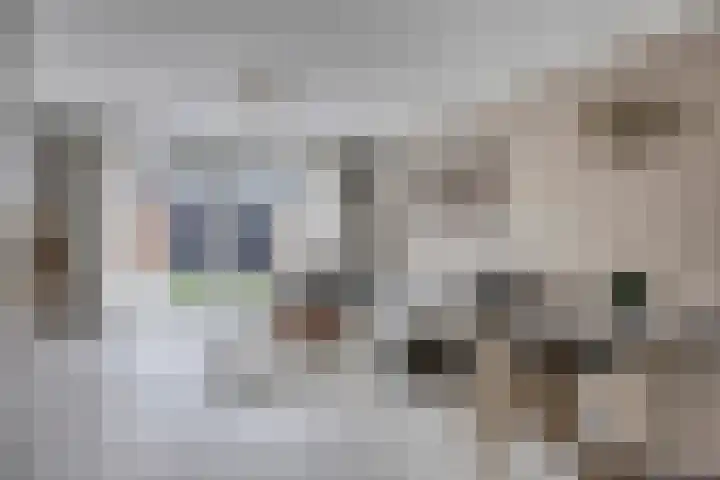 Reuzenotter 12 Boxtel thumbnail 5
