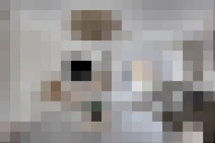 Reuzenotter 12 Boxtel thumbnail 6