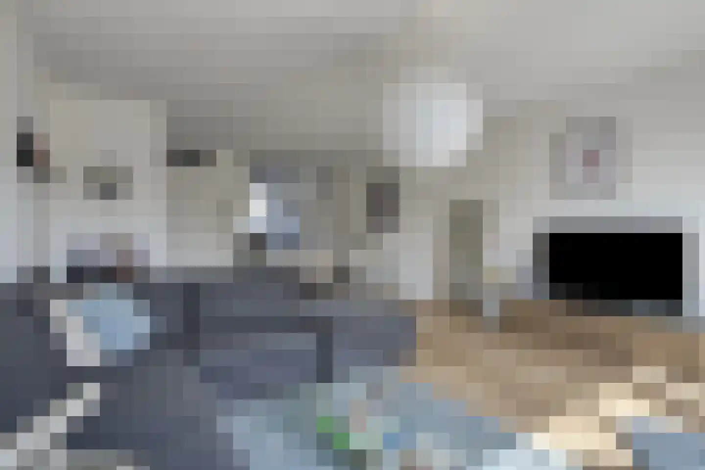 Reuzenotter 8 Boxtel thumbnail 11