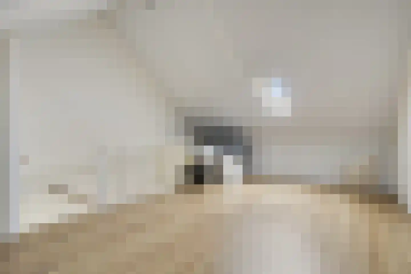 Reuzenotter 8 Boxtel thumbnail 30