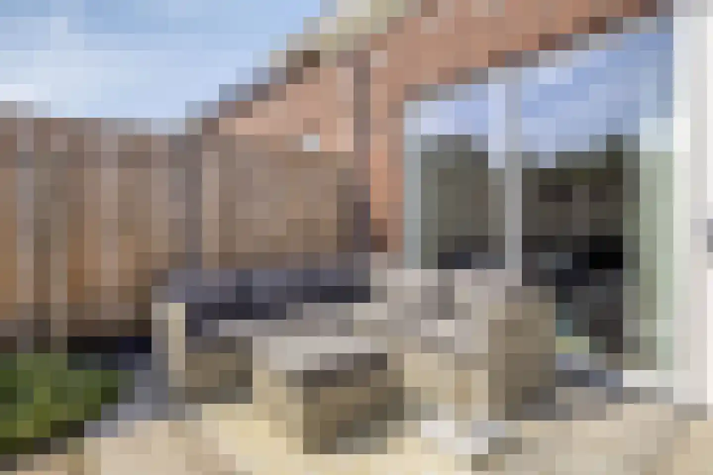Reuzenotter 8 Boxtel thumbnail 33