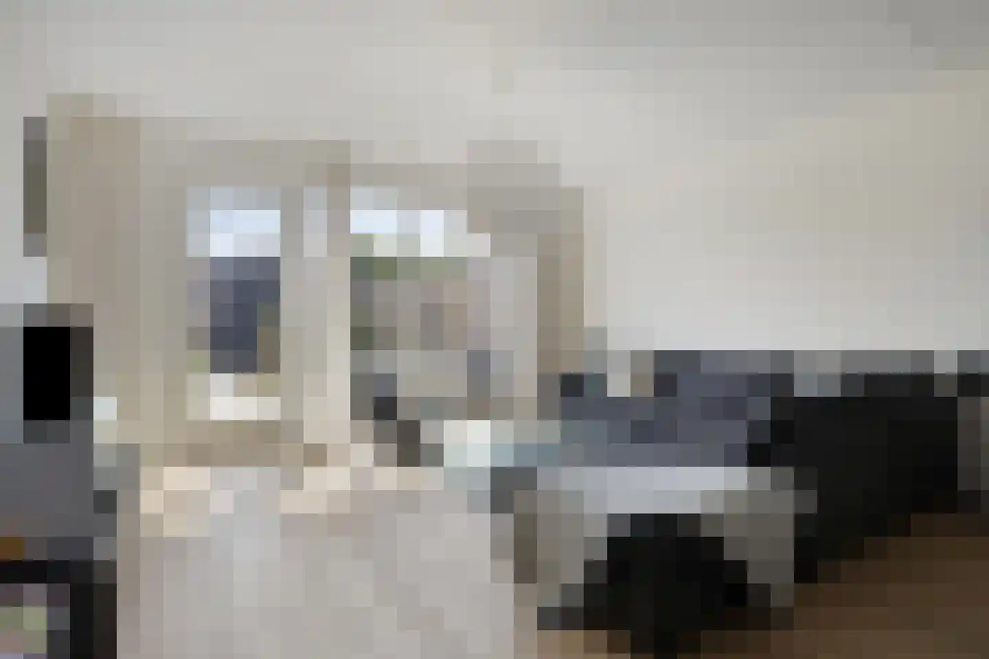 Reuzenotter 8 Boxtel thumbnail 9