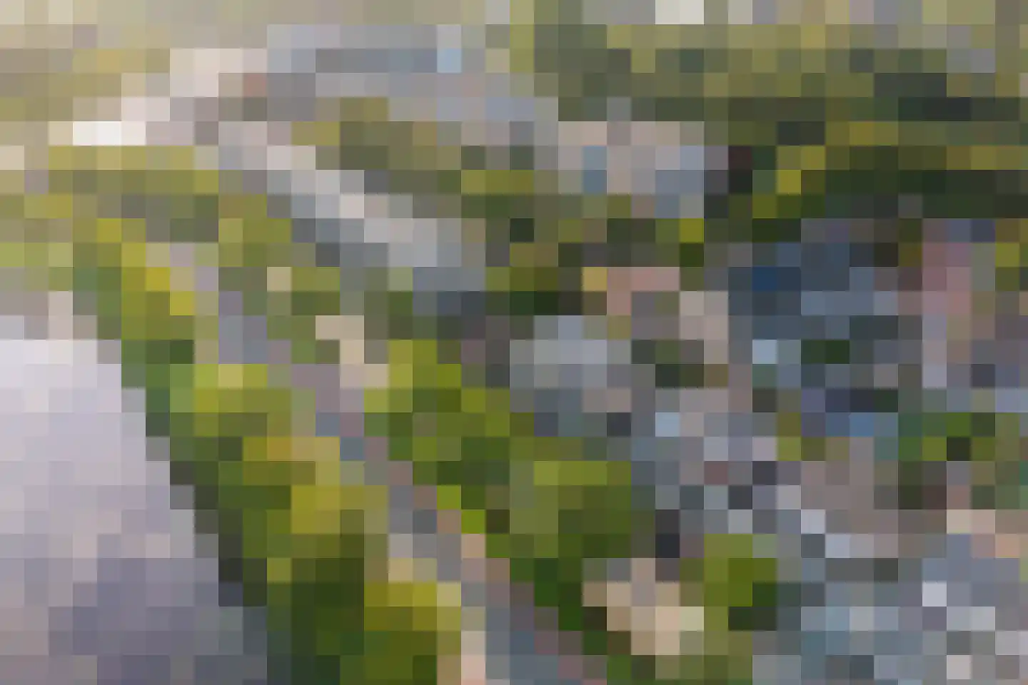 Reuzenpandasingel 176 Heerhugowaard thumbnail 36