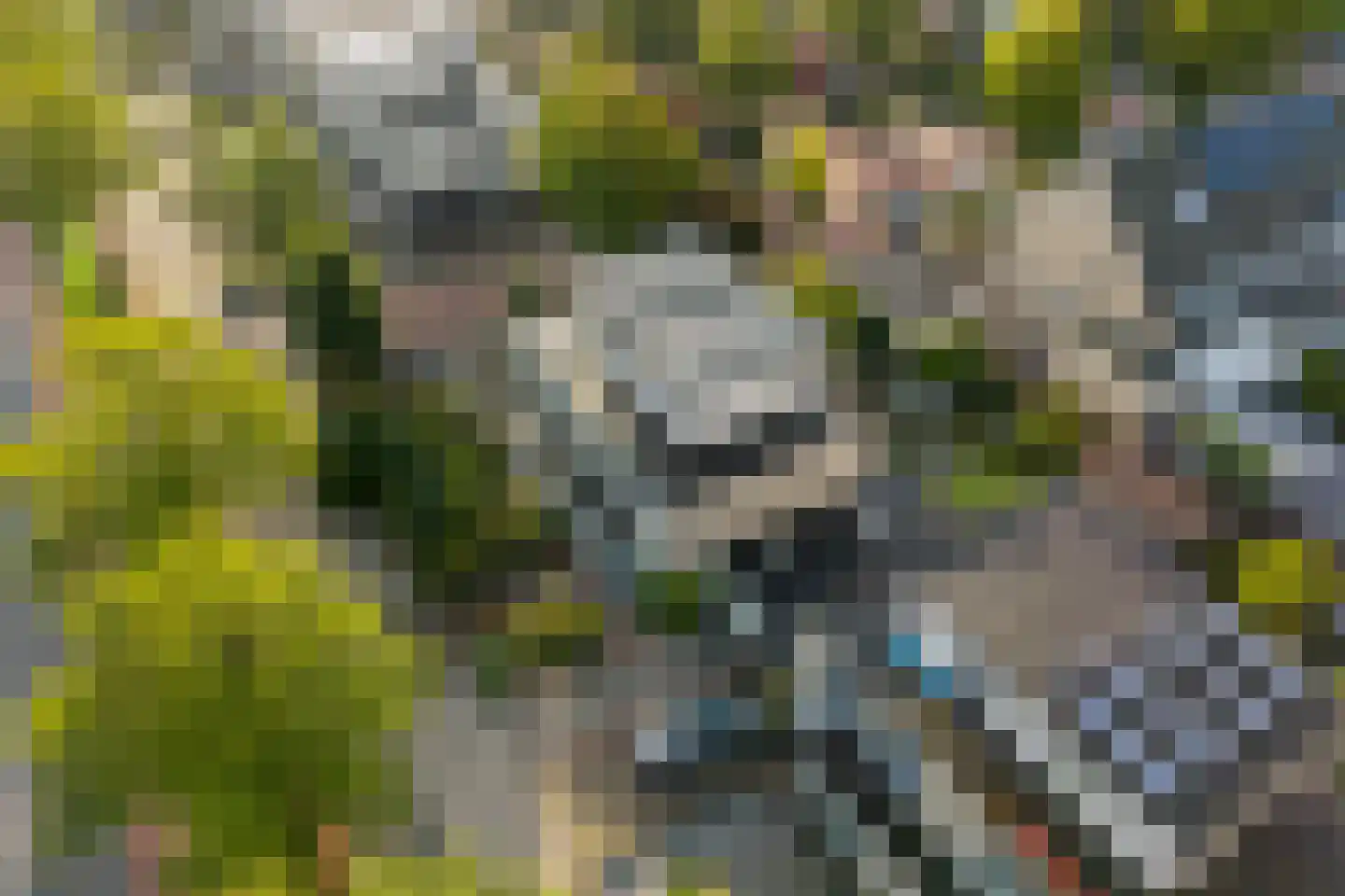 Reuzenpandasingel 176 Heerhugowaard thumbnail 38