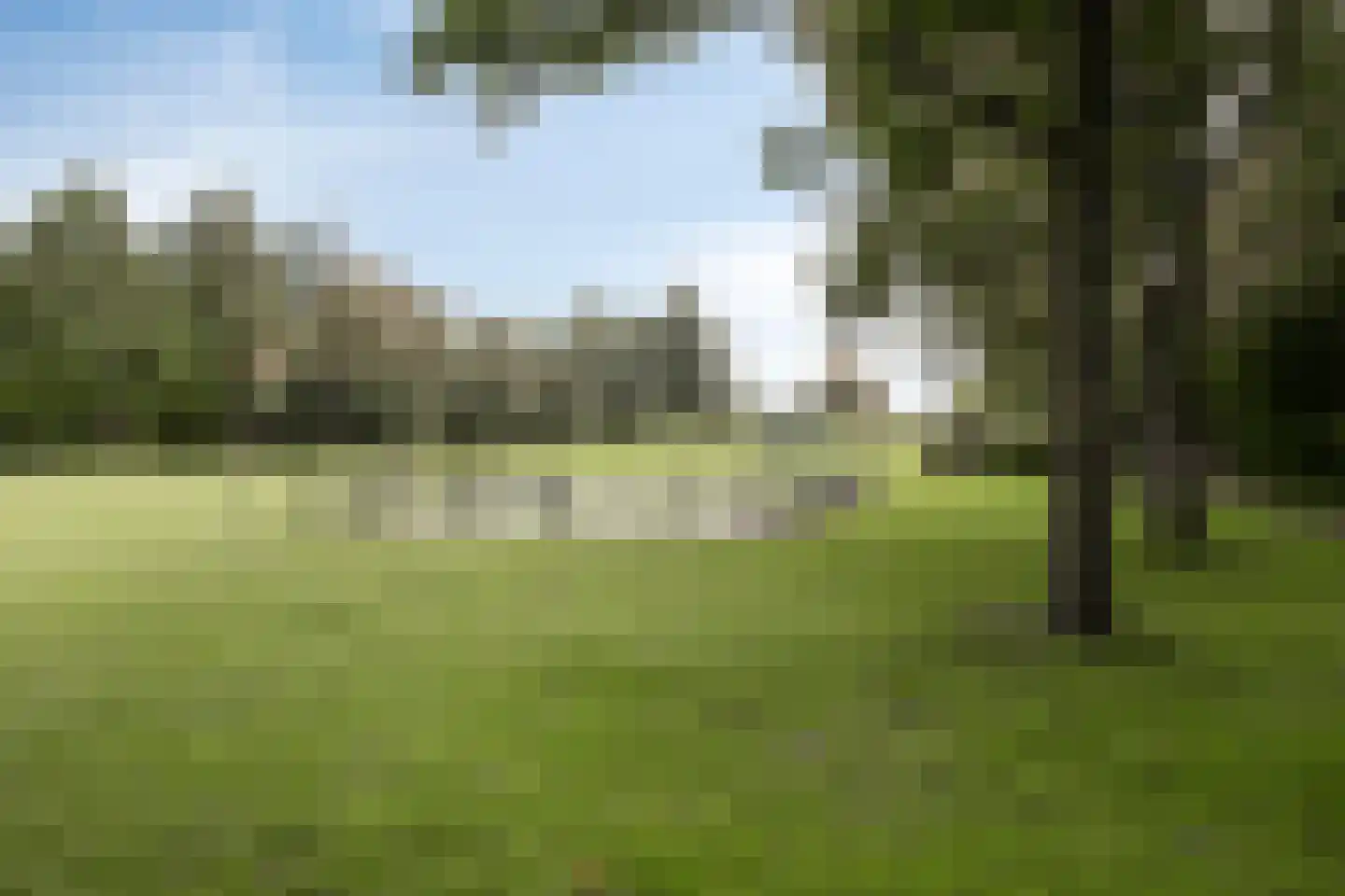 Reuzenpandasingel 176 Heerhugowaard thumbnail 42
