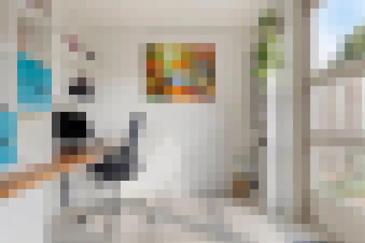 Reuzenpandasingel 176 Heerhugowaard thumbnail 7