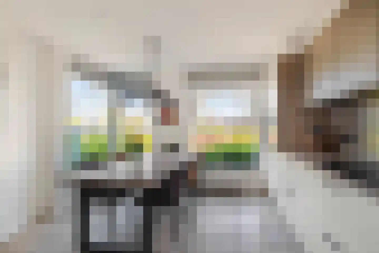 Reuzenpandasingel 194 Heerhugowaard thumbnail 11