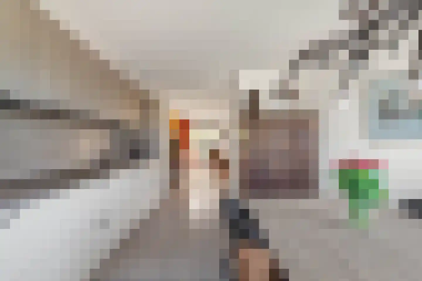 Reuzenpandasingel 194 Heerhugowaard thumbnail 12
