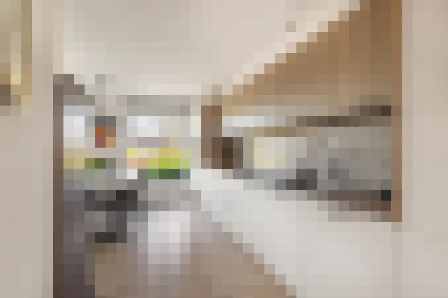 Reuzenpandasingel 194 Heerhugowaard thumbnail 9