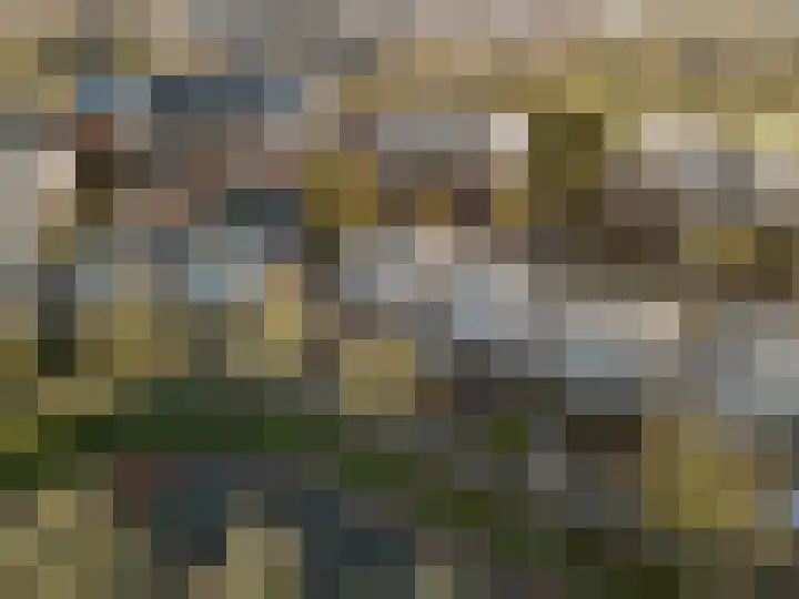 Reuzenpandasingel 198 Heerhugowaard thumbnail 36