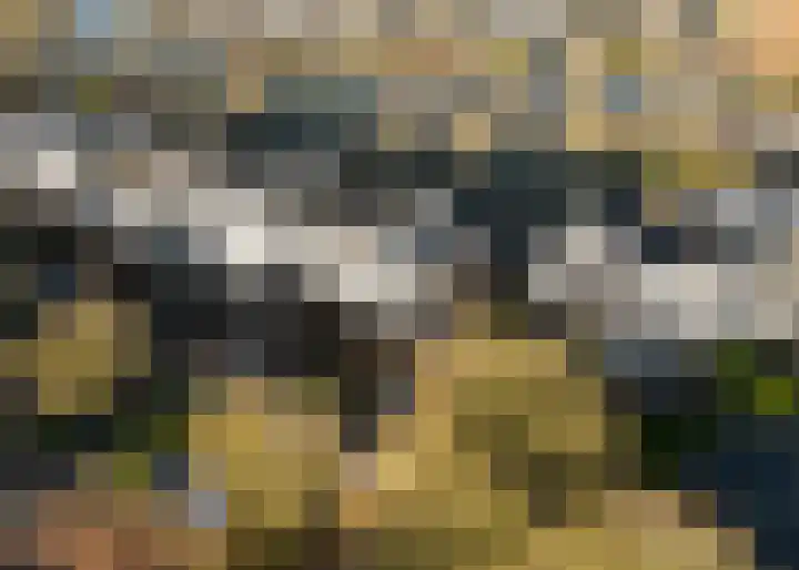 Reuzenpandasingel 198 Heerhugowaard thumbnail 38