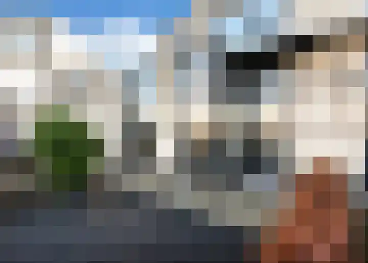 Reuzenpandasingel 198 Heerhugowaard thumbnail 41