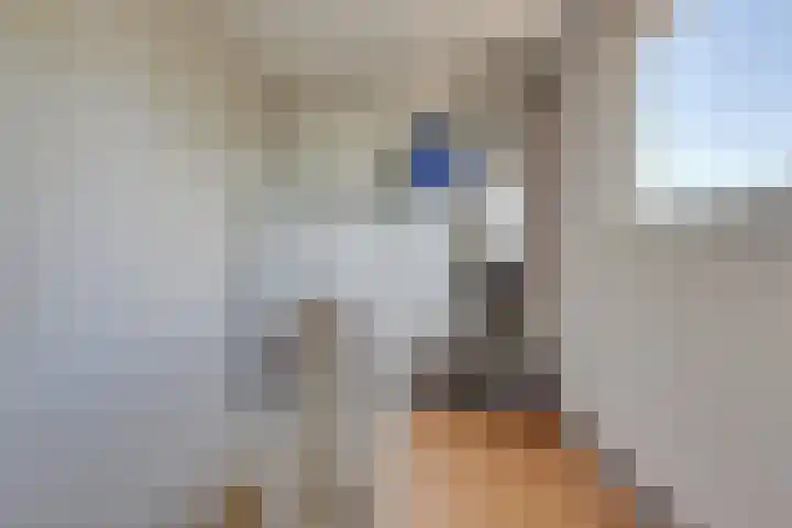 Reuzenpandasingel 82 Heerhugowaard thumbnail 32