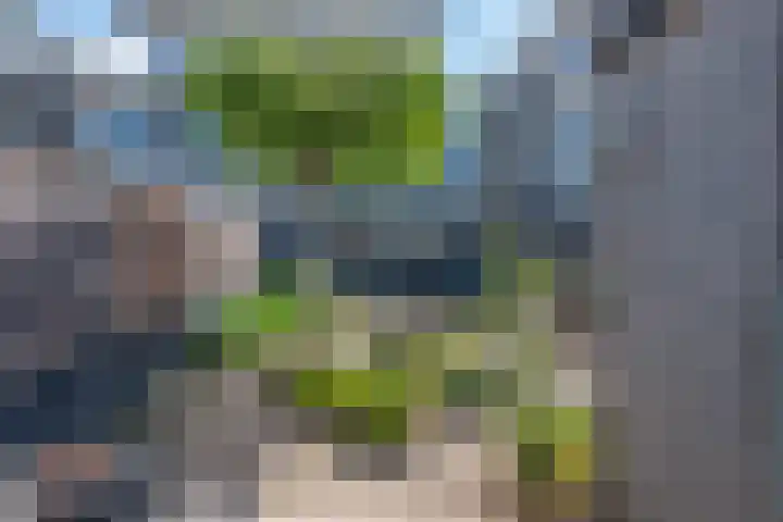 Reuzenpandasingel 82 Heerhugowaard thumbnail 43
