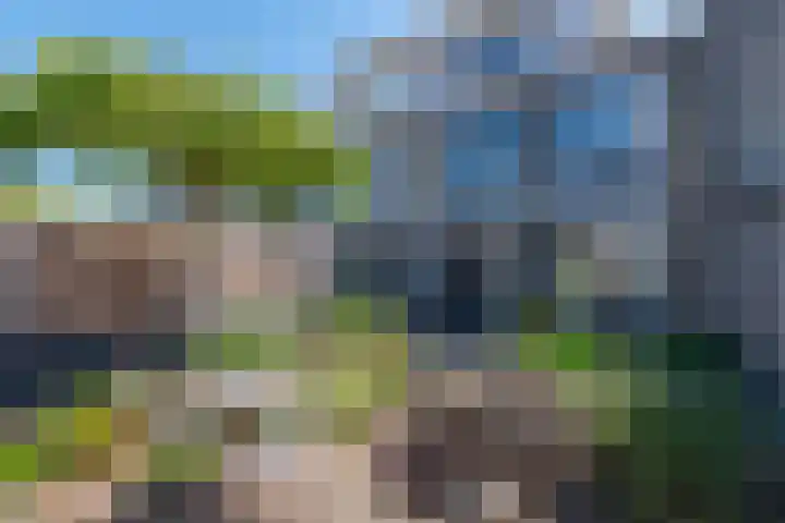 Reuzenpandasingel 82 Heerhugowaard thumbnail 44