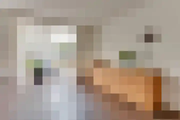 Reuzenpandasingel 96 Heerhugowaard thumbnail 11