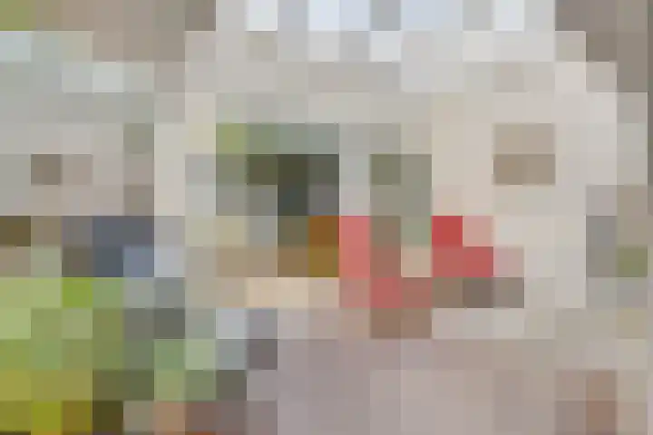 Reuzenpandasingel 96 Heerhugowaard thumbnail 12