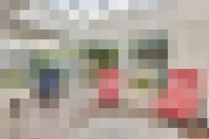 Reuzenpandasingel 96 Heerhugowaard thumbnail 13