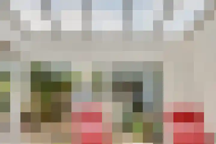 Reuzenpandasingel 96 Heerhugowaard thumbnail 14