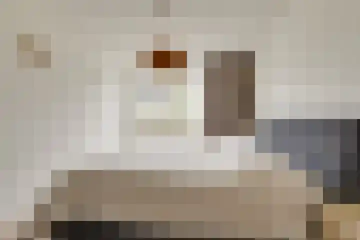 Reuzenpandasingel 96 Heerhugowaard thumbnail 32