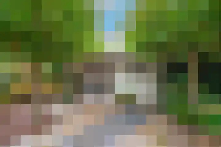 Reuzenpandasingel 96 Heerhugowaard thumbnail 41