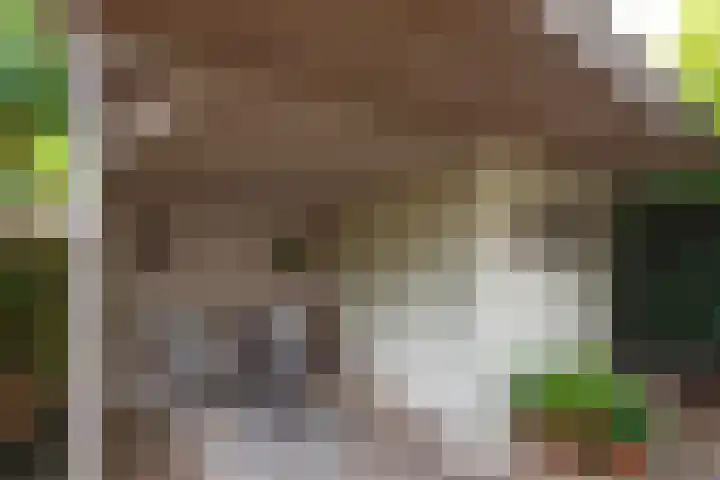 Reuzenpandasingel 96 Heerhugowaard thumbnail 44