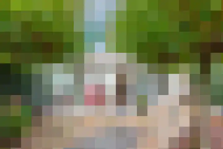 Reuzenpandasingel 96 Heerhugowaard thumbnail 46